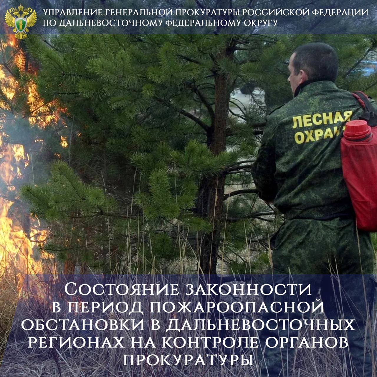 🗣На Дальнем Востоке с начала пожароопасного сезона зарегистрировано  свыше 1,8 тыс. лесных пожаров. .
